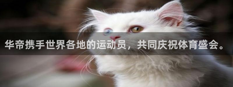 葡萄牙世界杯赛程:华帝携手世界各地的运动员,共同庆祝体育盛会。
