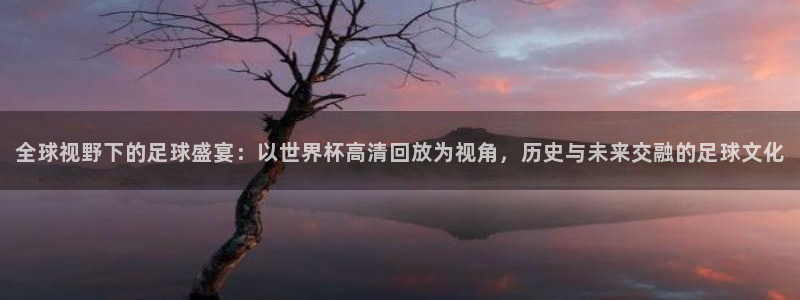 2026年世界杯:全球视野下的足球盛宴:以世界杯高清回放为视角,历史与未来交融的足球文化