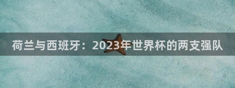 世界杯亚洲区预选赛积分榜:荷兰与西班牙:2023年世界杯的两支强队