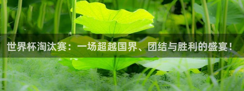 世界杯预选赛亚洲:世界杯淘汰赛:一场超越国界、团结与胜利的盛宴!