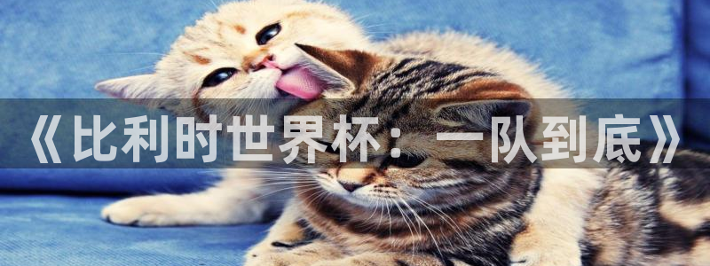 欧洲世界杯预选赛:《比利时世界杯:一队到底》