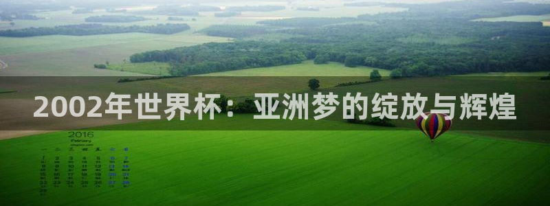 世界杯欧洲预选赛:2002年世界杯:亚洲梦的绽放与辉煌