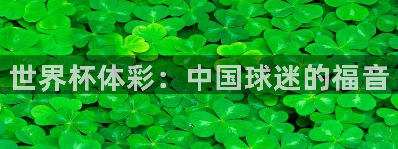 世界杯比赛直播:世界杯体彩:中国球迷的福音