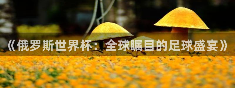 世界杯官网入口:《俄罗斯世界杯:全球瞩目的足球盛宴》
