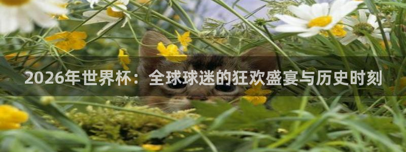 2026葡萄牙杯赛程表:2026年世界杯:全球球迷的狂欢盛宴与历史时刻