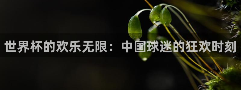 2026世界杯买球:世界杯的欢乐无限:中国球迷的狂欢时刻